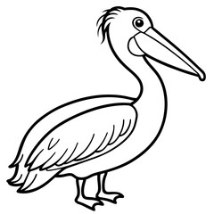 Fototapeta premium a line drawing of a pelican with a distinctive beak and a curious look