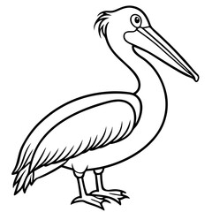 Fototapeta premium a pelican bird in simple black outline
