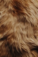 Fototapeta premium Close-up of soft, wavy golden fur texture