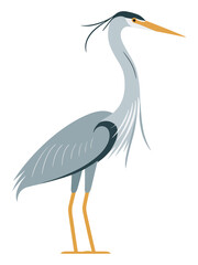 Obraz premium Set of Heron Birds in Different Poses Flying and Standing