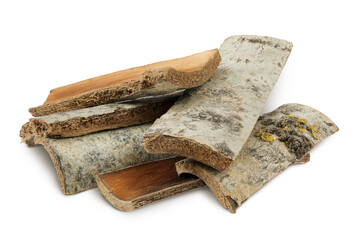piece of aspen bark isolated on white background.