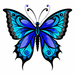butterfly vector illustration