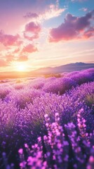 Fototapeta premium Vibrant Lavender Fields at Sunset with Scenic Horizon