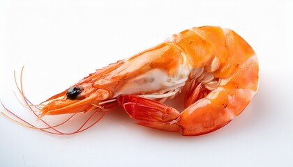 single cooked tiger shrimp on white background ready to eat seafood delicacy gourmet meal option
