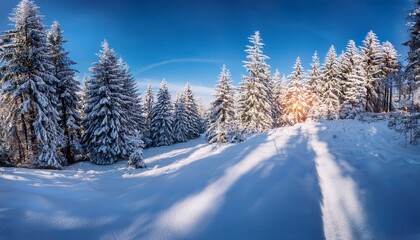 Fototapeta premium vivid winter woods landscape on sunny day