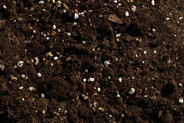 Texture of fresh soil as background, closeup