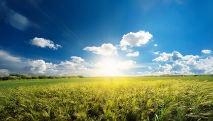 Obraz premium blue sky with sun