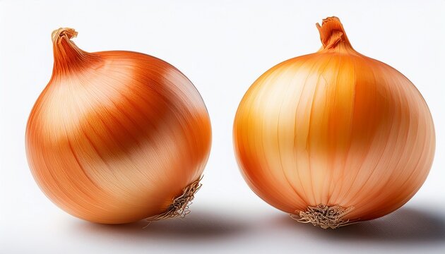 two onion isolated on white or transparent background