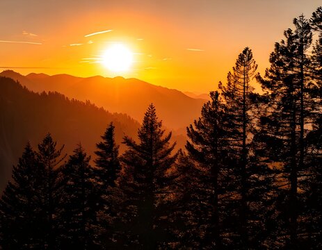 Watching Sunset Over Mountain Ridge with Silhouette of Pine Trees
