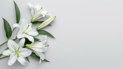 White lilies symbolize peace and purity, making them ideal for a heartfelt funeral condolence card. Text space available.