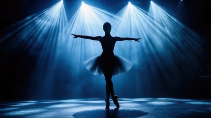 Obraz premium A woman performs a graceful dance in a tutu on stage, captivating the audience.