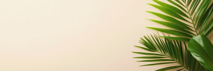 A green plant rests against a clean white wall, enhancing the simplicity of the space.