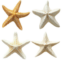 Collection Of Starfish Isolated On Transparent Background In Various Shapes And Sizes