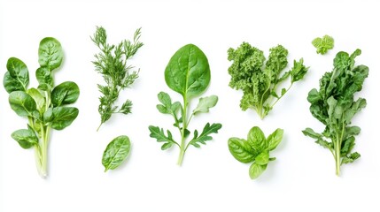 Obraz premium A close-up view showcasing various types of fresh green leaves and vegetables.