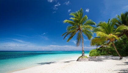 Obraz premium palm trees lean over white sand crystal clear ocean meets blue sky