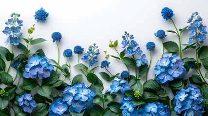 Blue flowers and leaves arranged on a white background creating a fresh botanical pattern