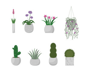 Set of decorative plant pots for use in interior and architectural projects