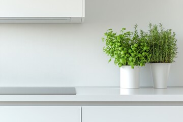 Fresh Herbs in Modern Kitchen Setting with Minimalist Design