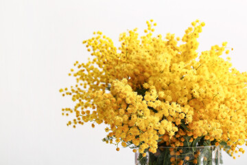Vase with mimosa flowers against white background