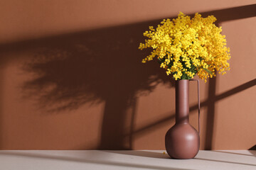 Vase with mimosa flowers on white table against brown background