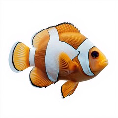 Clown Fish: Vibrant Tropical Fish in Marine Ecosystem - Colorful Underwater Creature in Coral Reefs