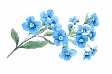 Forget-me-nots: Delicate spray of blue Forget-me-not blossoms, with vibrant blue petals and gentle yellow centers, captured in soft focus