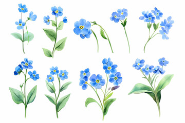 Vivid Watercolor Forget-Me-Nots: a collection of delicately painted blue forget-me-nots, capturing their intricate beauty with lush green leaves and vibrant hues