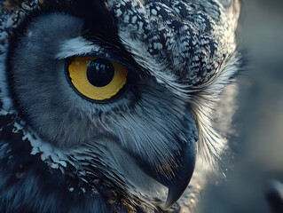 Close-up of an owl's piercing yellow eyes, intricate feathers visible in high detail