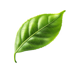 Obraz premium Vibrant Green Single Leaf: A Photorealistic Close-Up of Botanical Beauty and Organic Wellness