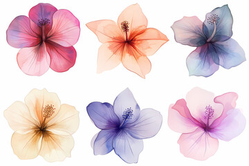 Obraz premium Floral Symphony: a group of Hibiscus blossoms in full bloom, showcasing a spectrum of colors and intricate details, ideal for design and decorative use. 