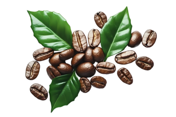 Fresh roasted coffee beans with leaves, isolated on white background png transparent clipart.