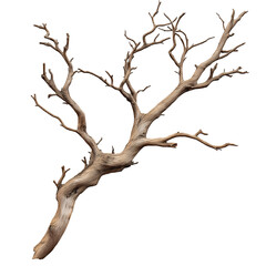 Elegant Dry Wood Branches: Isolated Organic Driftwood for Rustic Woodland Design and Artistic Decor