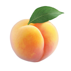 Juicy Ripe Peach: Fresh Organic Summertime Fruit Packed with Vitamin C