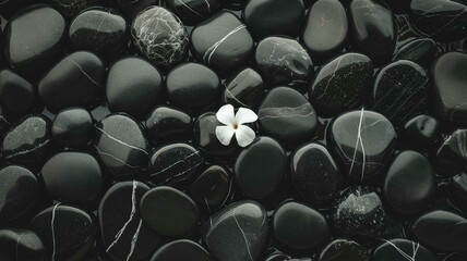 Obraz premium black pebbles stone texture background