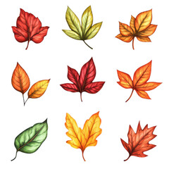 Obraz premium Vibrant collection of autumn leaves in various colors