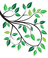 Green color tone leaf background