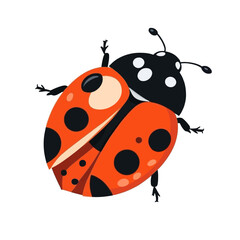 Obraz premium Ladybug insect vector illustration on a white background
