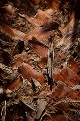 Si se camina y se observa la ciudad encontramos numerosas texturas que crean imagenes a veces abstractas.