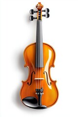Fototapeta premium Elegant violin performance concert hall musical instrument creative space close-up art and culture