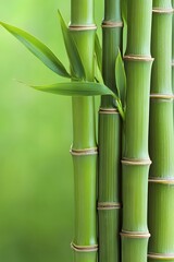 Fototapeta premium Vibrant Green Bamboo Stalks Close Up Nature Photography