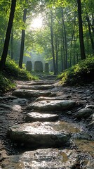 Stone Path Through Forest to Ancient Markers.
