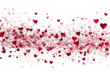 pink rose petals on transparent background