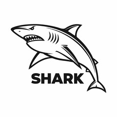 vector illustration of a shark