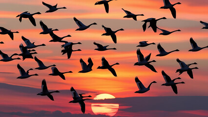 Geese gliding through the sky against a picturesque sunset backdrop