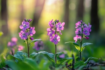 Obraz premium Vibrant pink wildflowers bloom in a sunlit forest, creating a serene and enchanting scene.