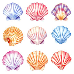 Collection of Watercolor Scallops Shells
