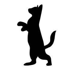 Cat Silhouettes
