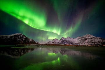 Aurora borealis is showing in clear sky above Skagsanden beach, Lofoten, Norway