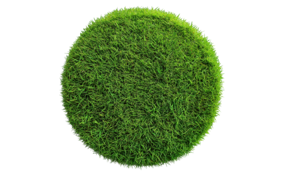 Patch of fresh green lawn grass, cut out