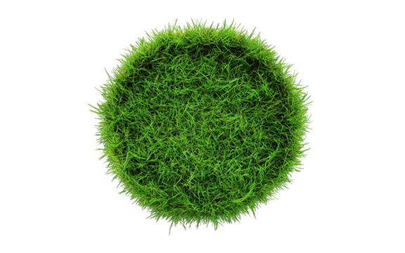 Patch of fresh green lawn grass, cut out